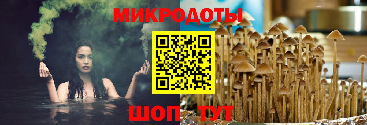 Соль-Илецк  Псилоцибиновые грибы MAGIC MUSHROOMS  Вход с VPN 